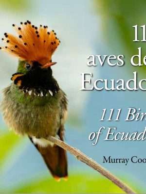 111 imagenes aves