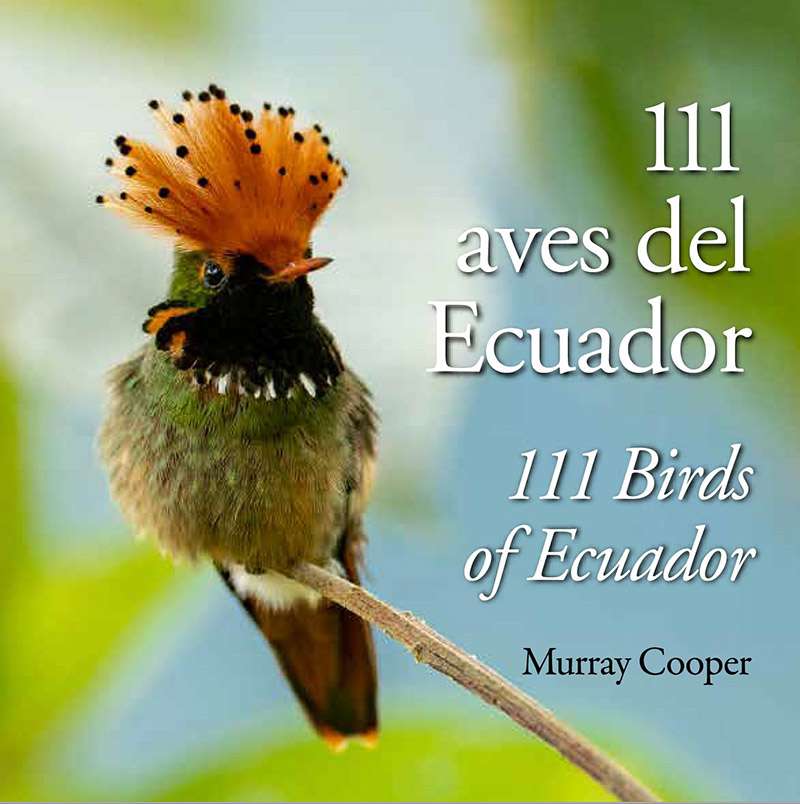 111 aves del Ecuador 4 111 aves del Ecuador